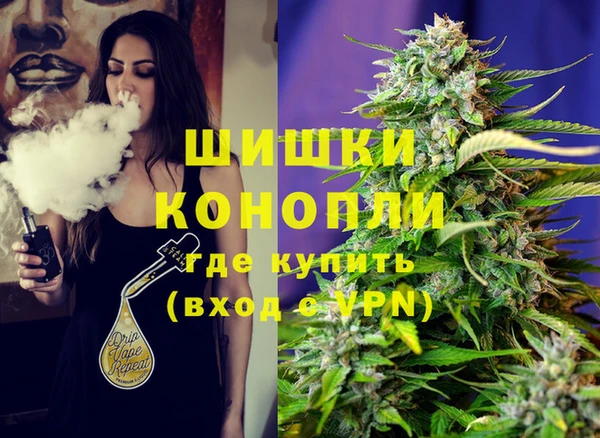 спайс Алзамай