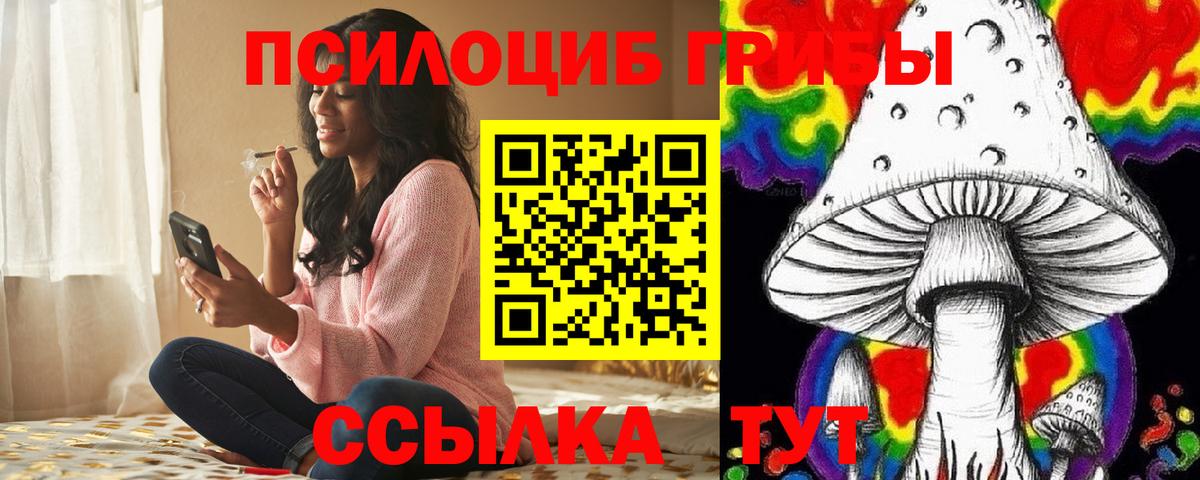 Владикавказ  Галлюциногенные грибы GOLDEN TEACHER  Вход с VPN 