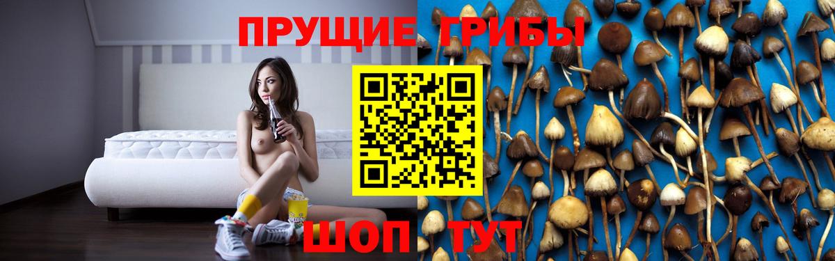 Галлюциногенные грибы GOLDEN TEACHER Владикавказ